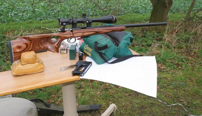 17 Hornady Magnum Rimfire Ammunition