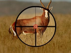 Kahles 1.5-6x42 CSX L - image {image:count}