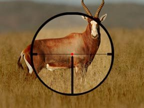 Kahles 1.5-6x42 CSX L - image {image:count}