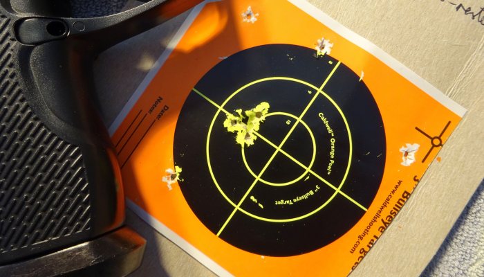 GAMO C-15 BLOWBACK - Great fun - image {image:count}