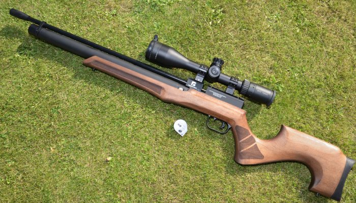 REXIMEX LYRA - image {image:count}