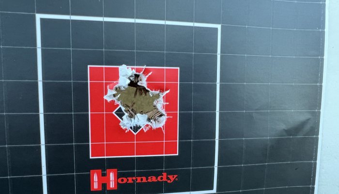 Savage’s Impulse Elite Precision - image {image:count}