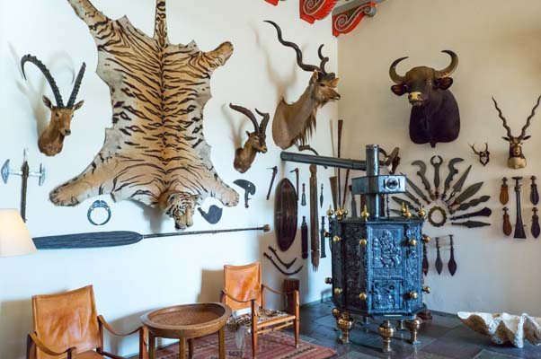 Trophy ban could be disastrous shows Oxford research - image {image:count}