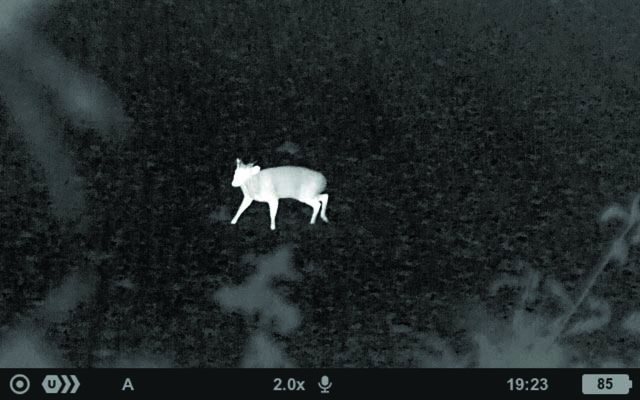 PULSAR AXION COMPACT XG30 THERMAL MONOCULAR - image {image:count}