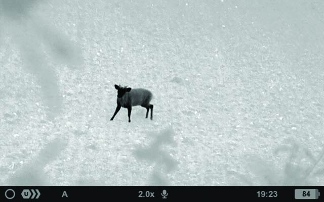 PULSAR AXION COMPACT XG30 THERMAL MONOCULAR - image {image:count}