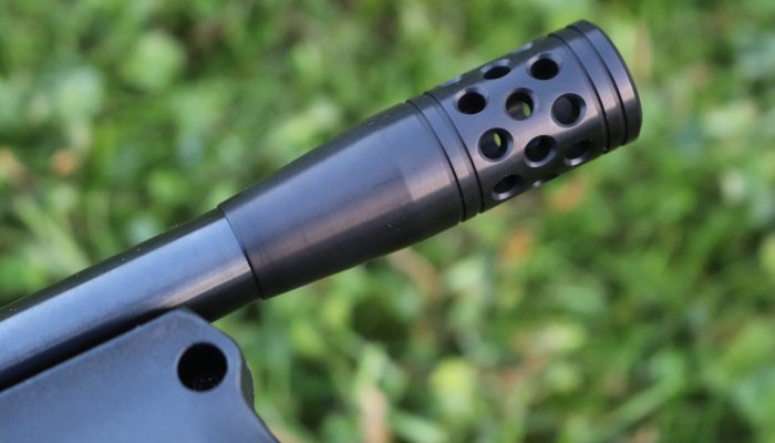 Walther Reign M2 - Little Gem! - image {image:count}