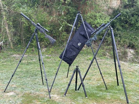 Three-Legged Friend? - image {image:count}