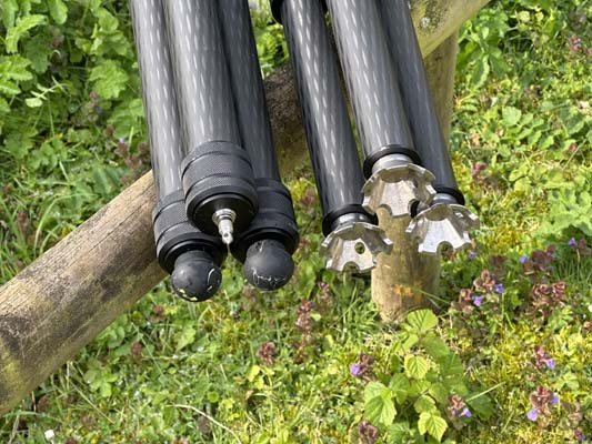 Three-Legged Friend? - image {image:count}