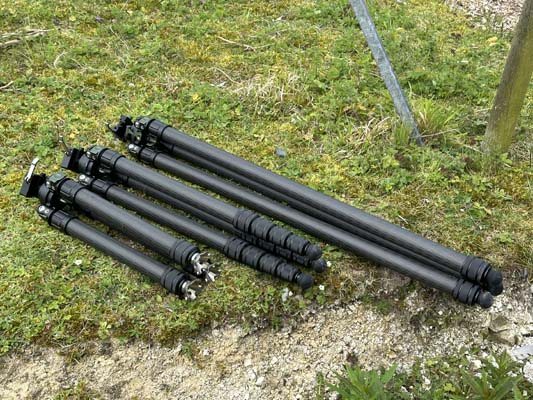 Three-Legged Friend? - image {image:count}