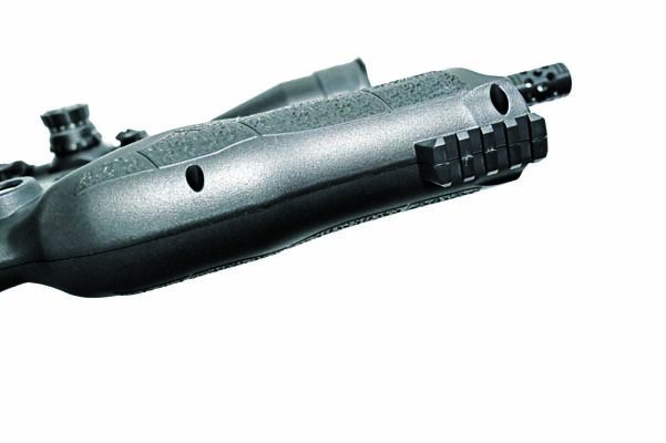 Walther Reign M2 - Sitting Pretty - image {image:count}
