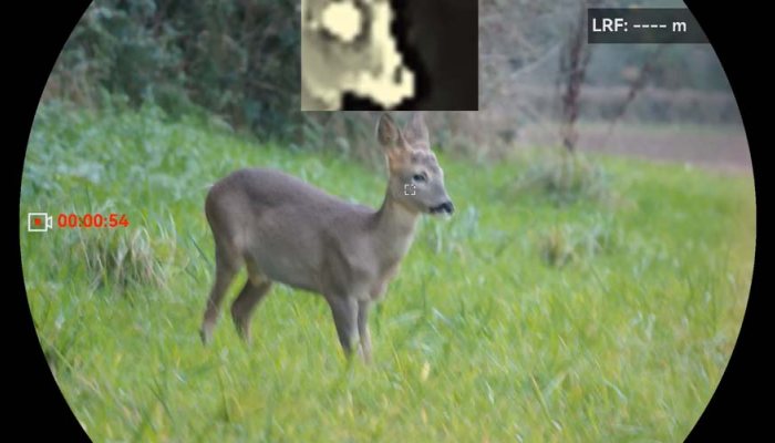 HIKMICRO HE25L MULTI-SPECTRUM BINOCULAR - image {image:count}