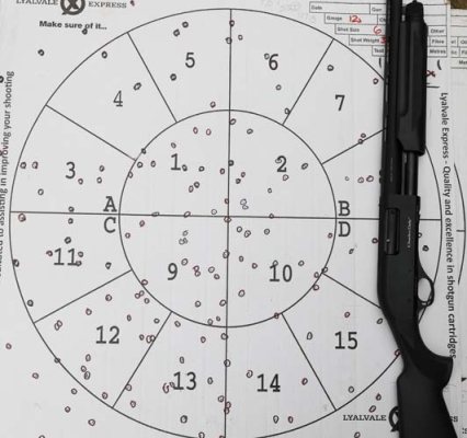 Charles Daly 301 pump-action – FUNCTION OVER FLASH - image {image:count}