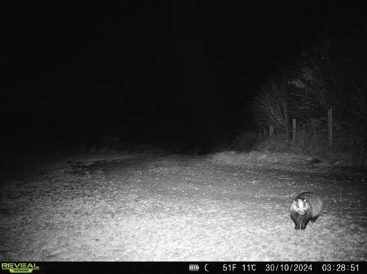 Tactacam Reveal X 2.0 Trail Camera - image {image:count}