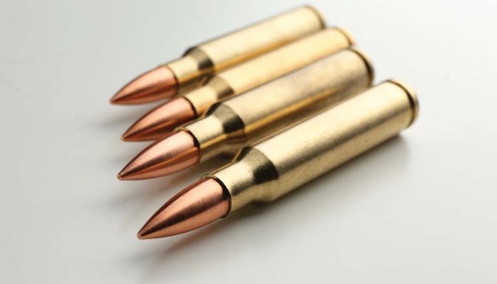 SGA launches survey on  copper bullet usage as lead ban looms - image {image:count}
