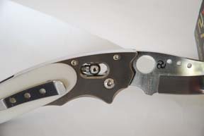 Spyderco C114 Phoenix - image {image:count}