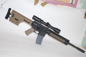 .50 Beowulf - image {image:count}