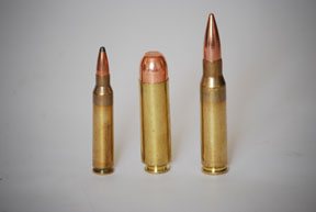 .50 Beowulf - image {image:count}