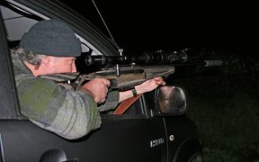 Cobra Orion Pro Gen 2 - image {image:count}