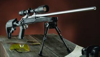 Blackhawk/Knoxx recoil reducing stocks