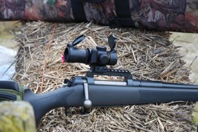 Leupold Prismatic