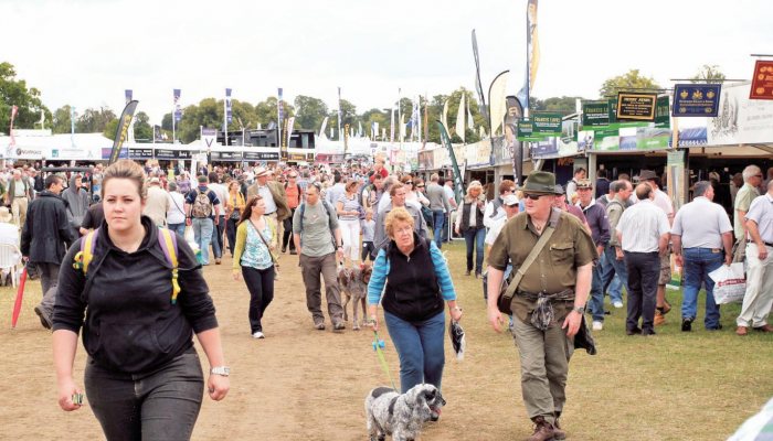 .410 Shotgun Cartridges - image {image:count}