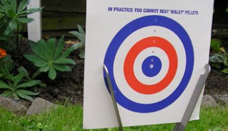 BSA Foldaway Airgun Target Holder