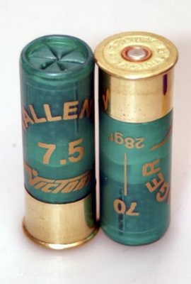 Victory Challenger Plaswad - image {image:count}