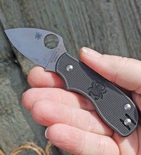 Spyderco Squeak Folder - image {image:count}