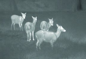 Guide 518 Thermal Imager - image {image:count}