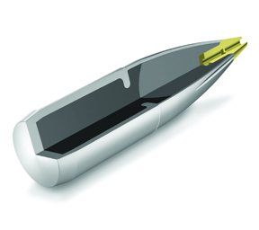 RWS Evolution 308 Win - image {image:count}