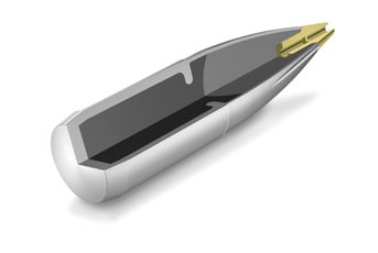 RWS Evolution 308 Win