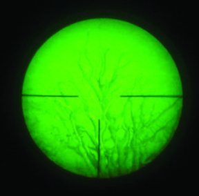 Cobra Optics Titan Monocular - image {image:count}