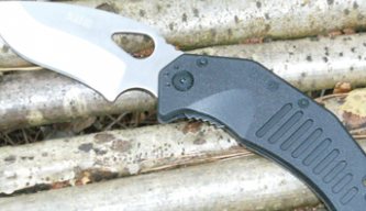 Zeiss Victory Diavari