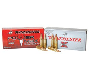 Ammo Test - 270 & 300 WSM - image {image:count}