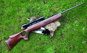 Picking an air pellet - image {image:count}