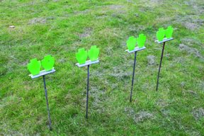 Gr8fun targets - image {image:count}