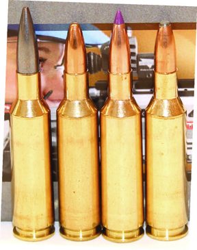 Blaser R8 GRS Stock in 6xc - image {image:count}