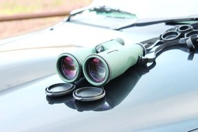 Swarovski SLC 8 x 56 Binos - image {image:count}