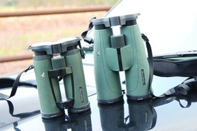 Swarovski SLC 8 x 56 Binos - image {image:count}