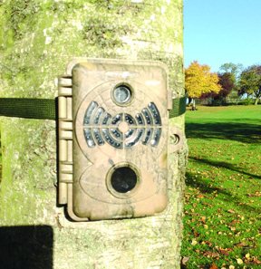 Spypoint BF-10HC+D Game Camera - image {image:count}