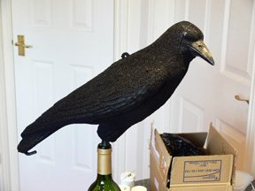 Decoy Direct Flocking Kit - image {image:count}