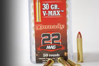 Hornady 22 Magnum
