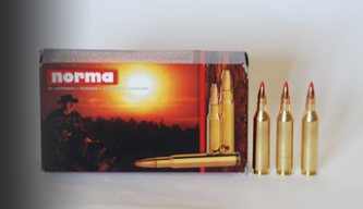 Norma 75-grain V-MAX 243 Winchester