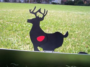 Gamo Moving Target Airgun Training System