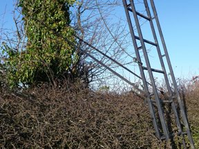 Big Game ‘Partner’ Portable High Seat - image {image:count}