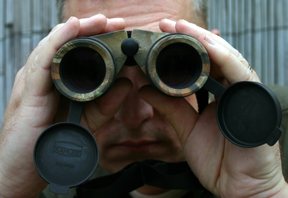 Kahles 8X32 binocular - image {image:count}