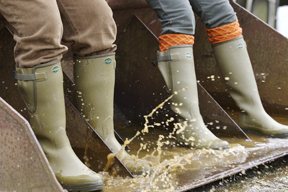 Le Chameau Wellington Boots - image {image:count}