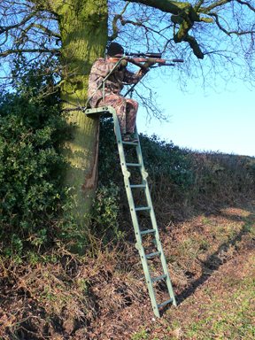 X3M1 Alu-1 & Bushwear Panther portable high seats - image {image:count}
