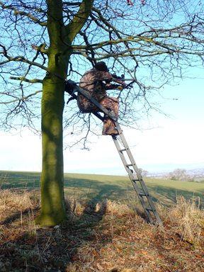 X3M1 Alu-1 & Bushwear Panther portable high seats - image {image:count}