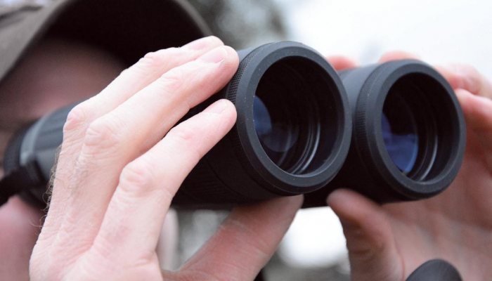 ATN Bino X By Zoe baker - image {image:count}